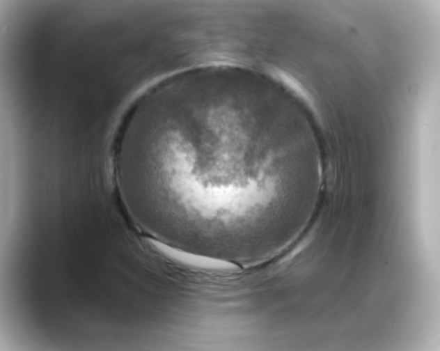 X0000088391310200706051110