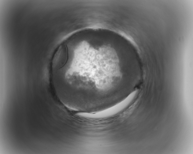 X0000088391311200706051110