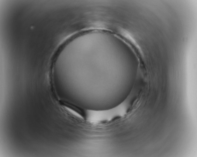 X0000088391312200706051110