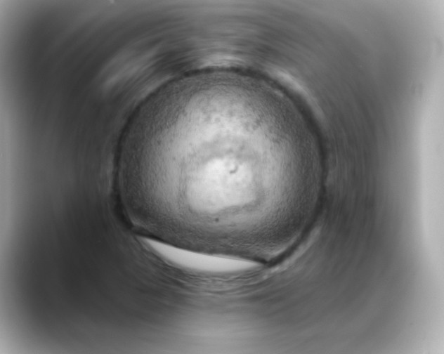 X0000088391313200706051110