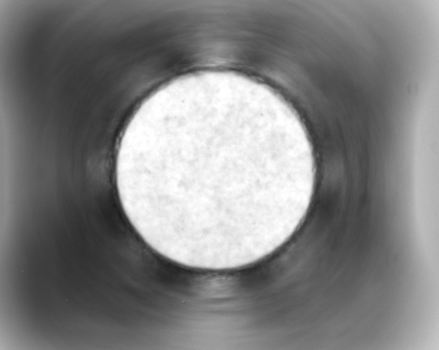 X0000088391314200706051110