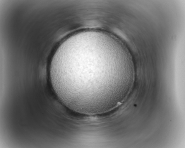 X0000088391315200706051110