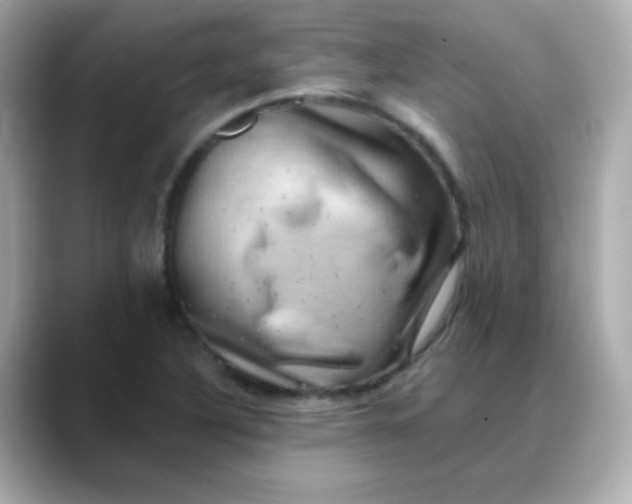 X0000088391316200706051110