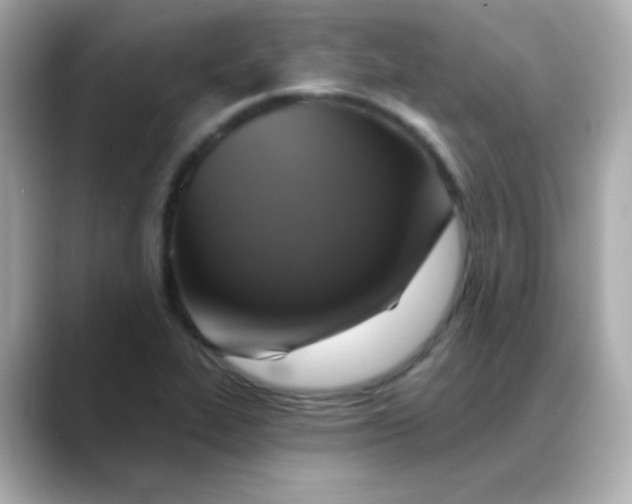 X0000088391319200706051110