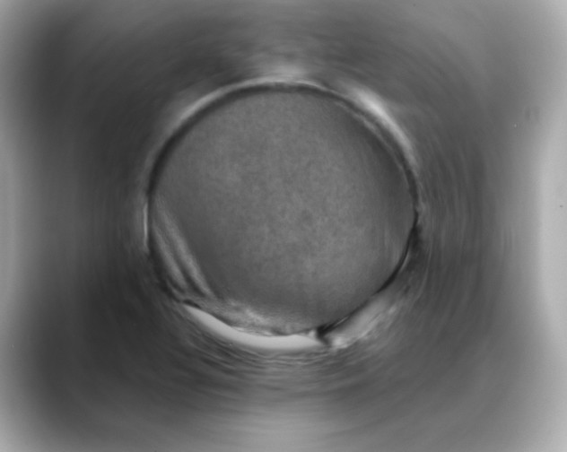 X0000088391320200706051110