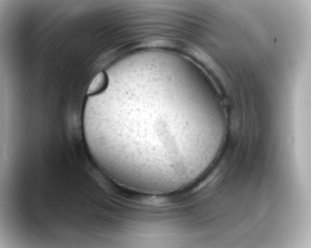 X0000088391321200706051110