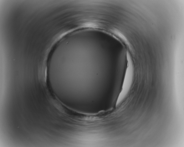 X0000088391323200706051110