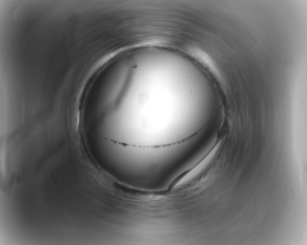 X0000088391324200706051110