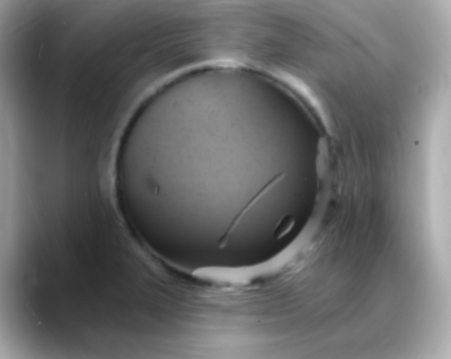 X0000088391327200706051110