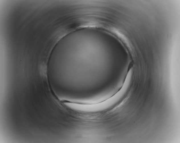 X0000088391329200706051110