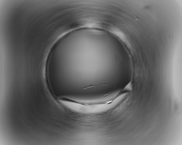 X0000088391331200706051110