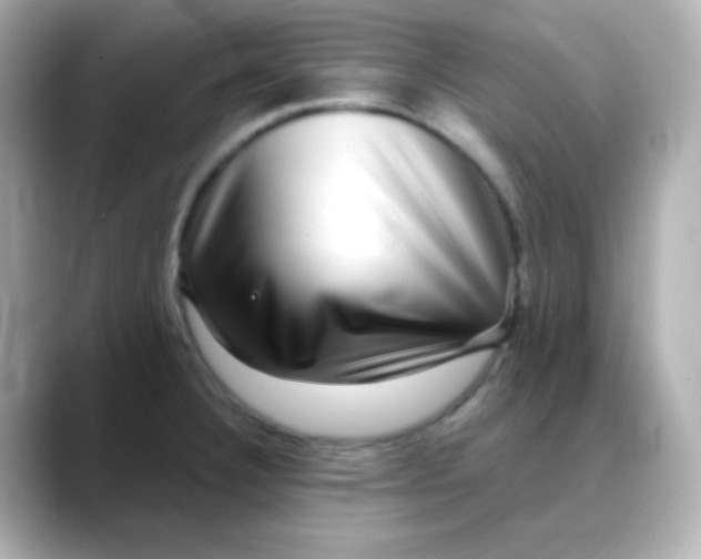 X0000088391332200706051110