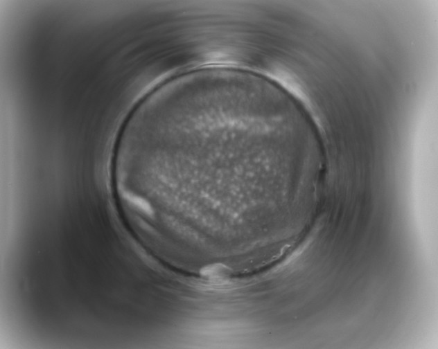 X0000088391333200706051110