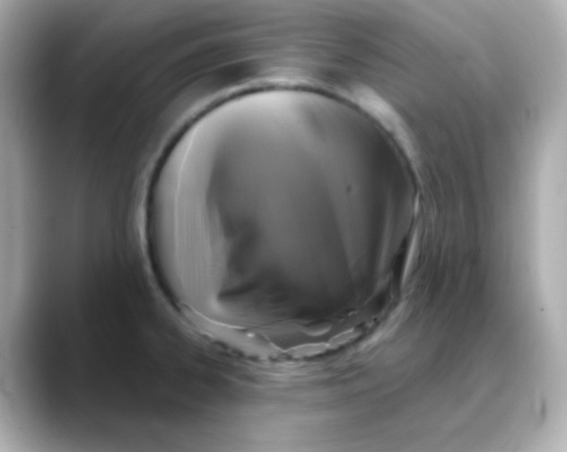 X0000088391334200706051110