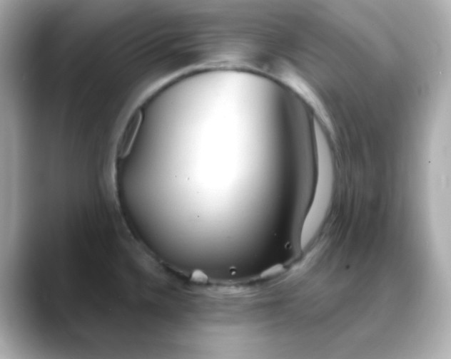 X0000088391336200706051110