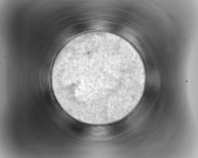 X0000088391338200706051110