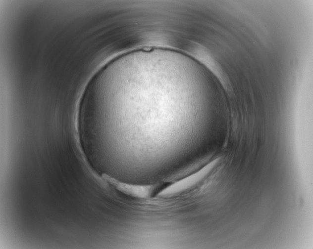 X0000088391339200706051110