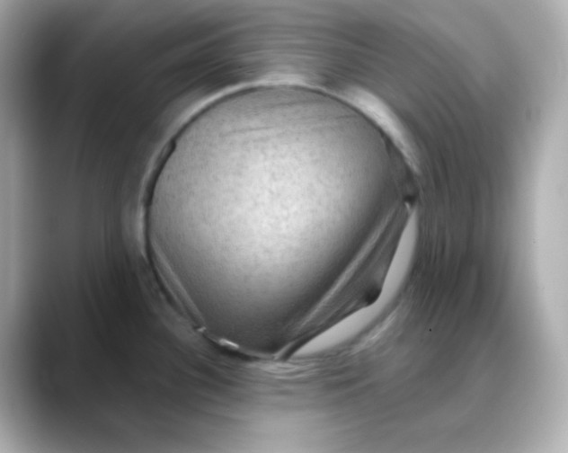 X0000088391340200706051111