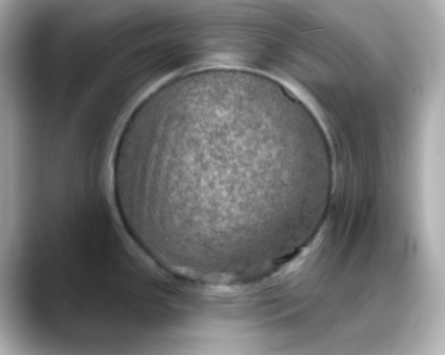 X0000088391341200706051111