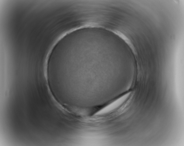 X0000088391342200706051111