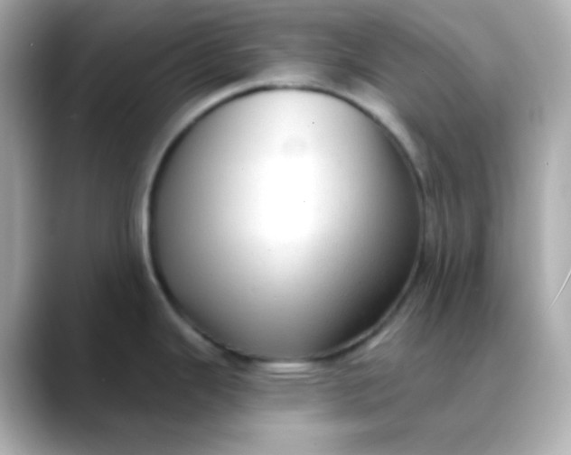 X0000088391343200706051111