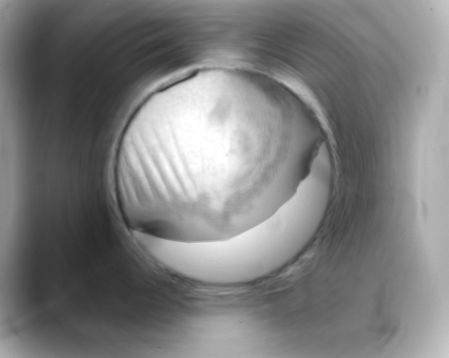 X0000088391344200706051111