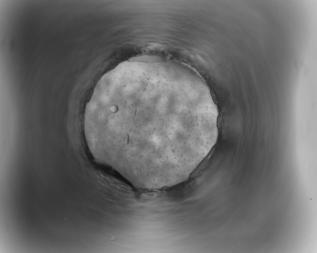 X0000088391345200706051110