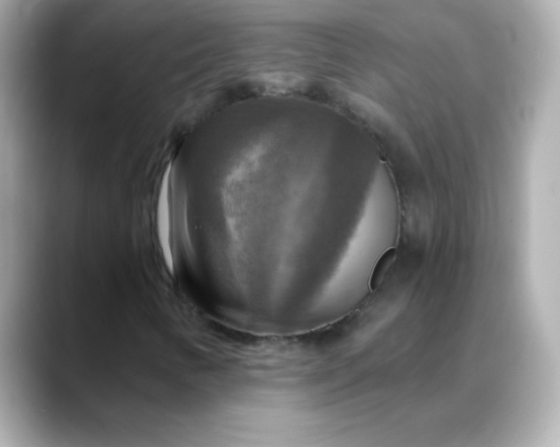 X0000088391346200706051110