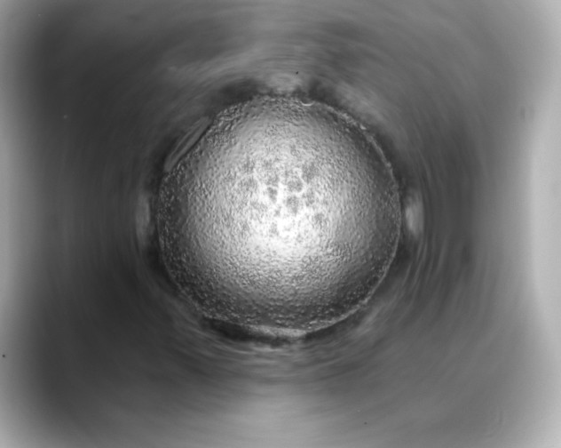 X0000088391347200706051110