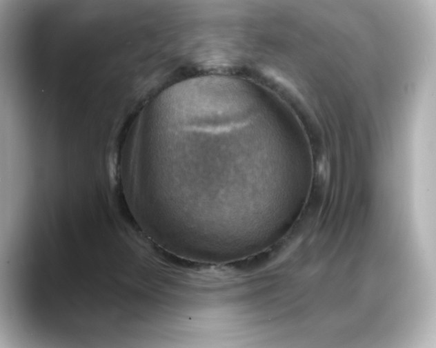 X0000088391348200706051110