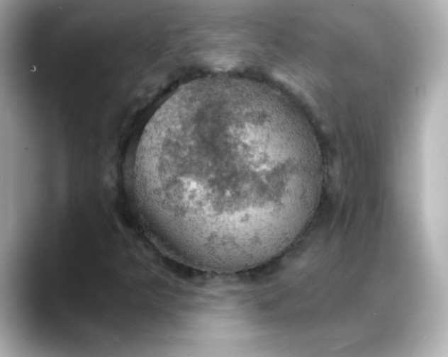 X0000088391349200706051110