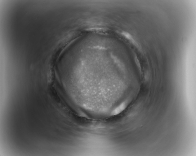 X0000088391350200706051110