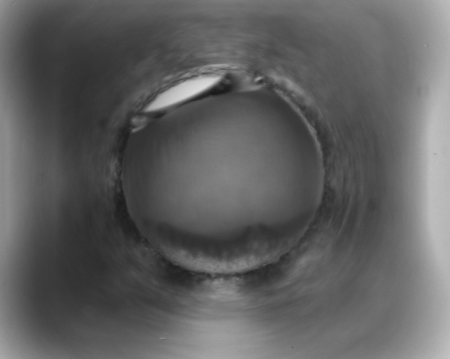 X0000088391351200706051110