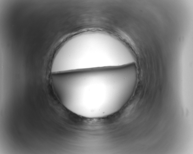 X0000088391352200706051110