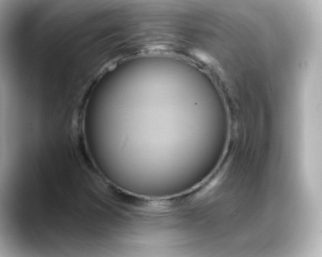 X0000088391353200706051110