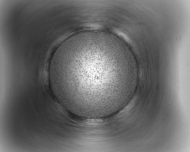 X0000088391354200706051110