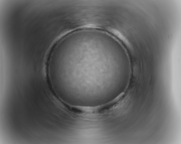 X0000088391356200706051110