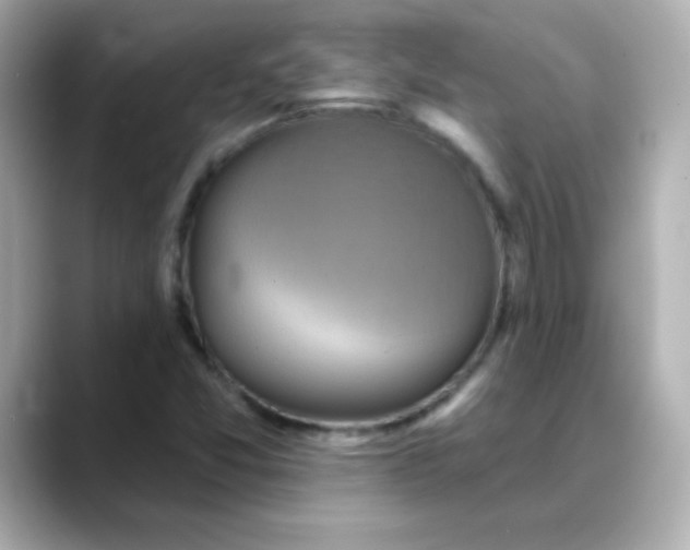 X0000088391357200706051110