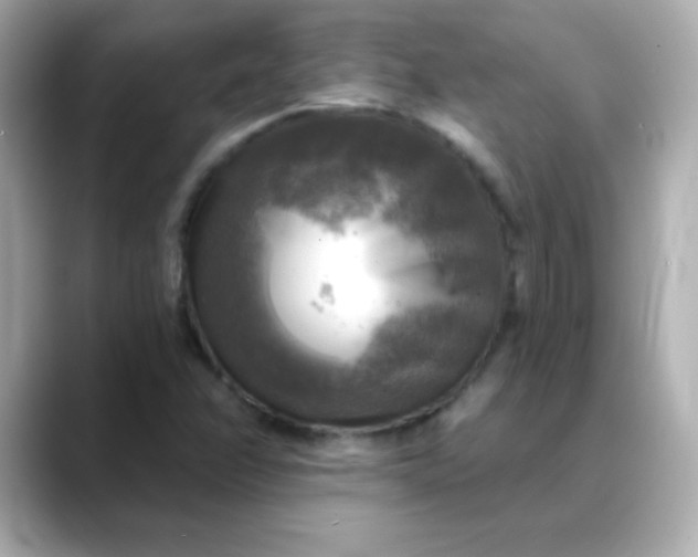 X0000088391358200706051110