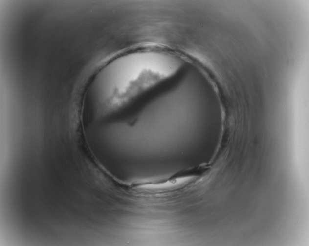 X0000088391359200706051110