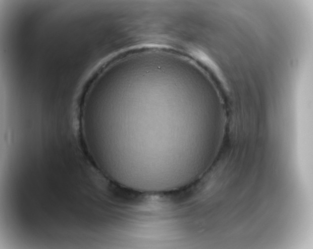 X0000088391360200706051110