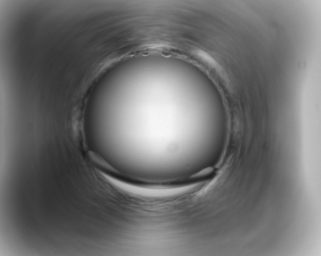 X0000088391361200706051110