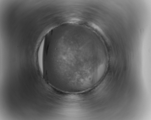 X0000088391362200706051110