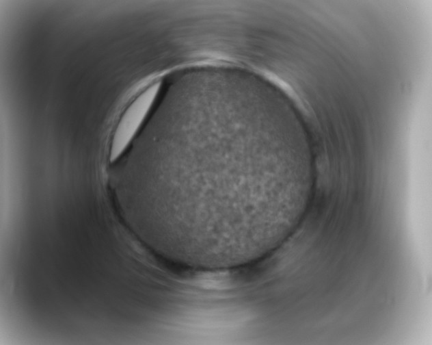 X0000088391363200706051110