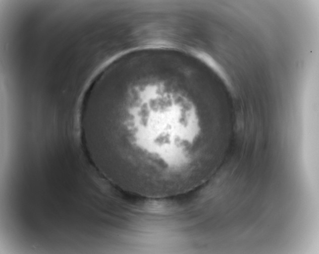 X0000088391364200706051110