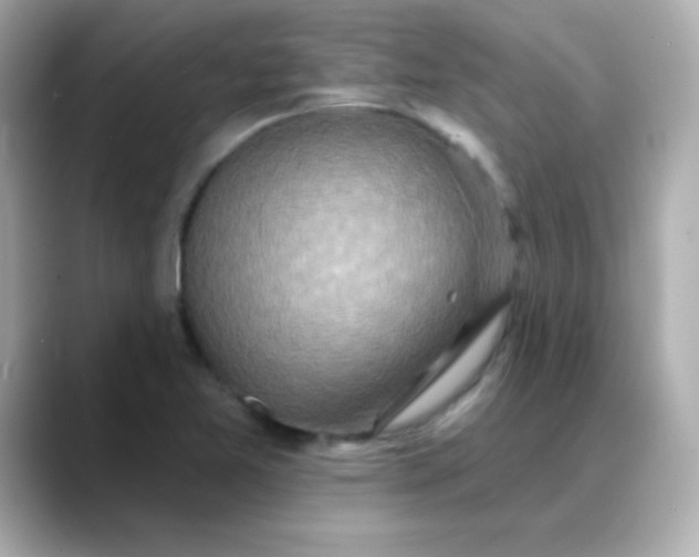 X0000088391365200706051110