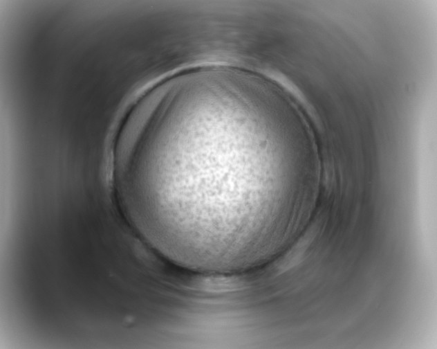 X0000088391366200706051110