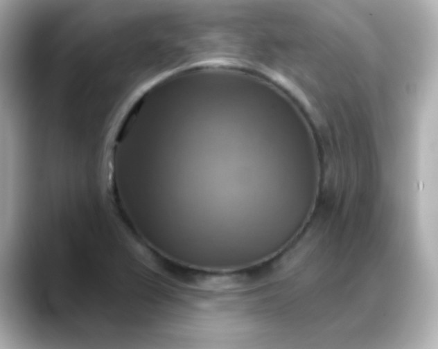 X0000088391367200706051110