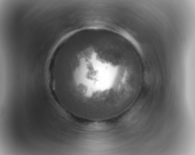 X0000088391368200706051110