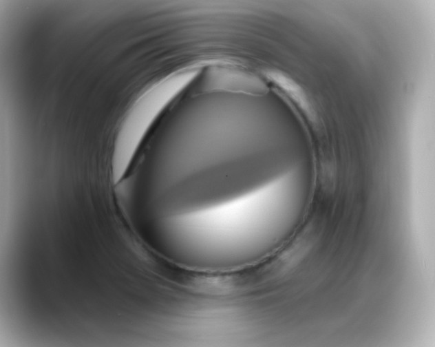 X0000088391369200706051110